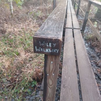Flagler Trail South - Hiking Near Me Flagler Trail South - Hiking Near Me
