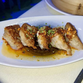 Tikka Charcoal Grill - Chicken Gyoza "Dumplings" - Indian Near Me - Hicksville, New York Tikka Charcoal Grill - Chicken Gyoza "Dumplings" - Indian Near Me - Hicksville, New York