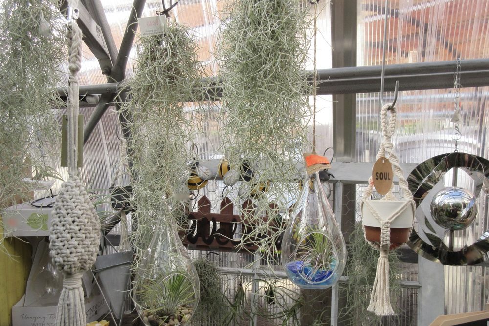 HILLTOP GARDENS Updated June 2024 30 Photos 32 South Belmont Rd