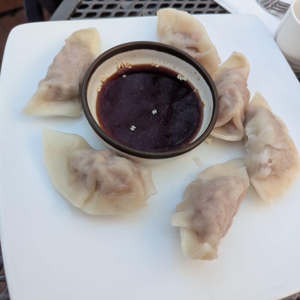 Xia’s Asian Tapas - Steamed dumplings - Asian Fusion Near Me - Winston-Salem, North Carolina