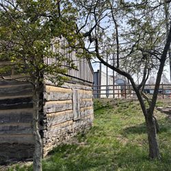 Royal Spring Park - Side view of home