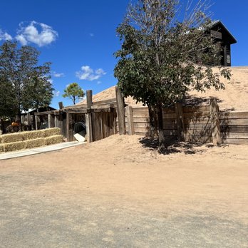 McCall Pumpkin Patch - Pumpkin Patches Near Me - Moriarty, New Mexico