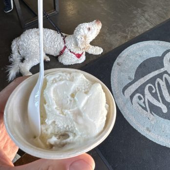 Bliss Small Batch Creamery - Ice Cream & Frozen Yogurt Near Me - University Place, Washington