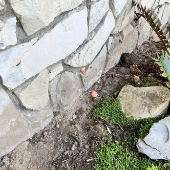 Repipe Specialists - Los Angeles - Plumbing Near Me Repipe Specialists - Los Angeles - Plumbing Near Me