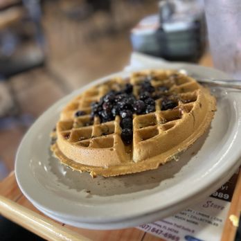 Dixie Belle's Cafe - Blueberry Waffle - Breakfast & Brunch Near Me - Orlando, Florida