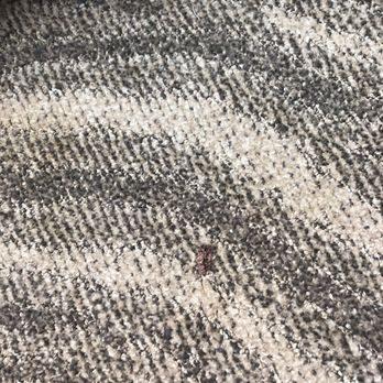 La Quinta by Wyndham Glen Rose - Vacuum would have got whatever that is crumbled. - Hotels Near Me - Glen Rose, Texas La Quinta by Wyndham Glen Rose - Vacuum would have got whatever that is crumbled. - Hotels Near Me - Glen Rose, Texas