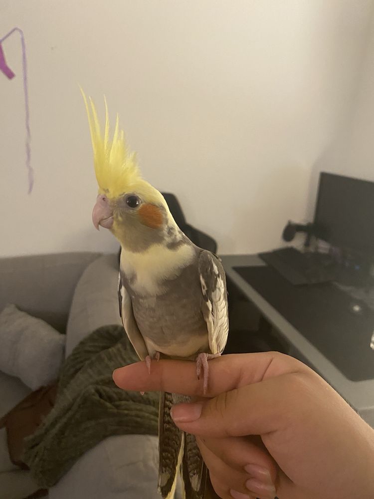 Exodus Recovery - grief counselor in Fresno, CA