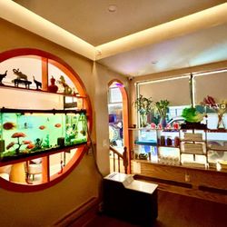 Winnie Foot Spa