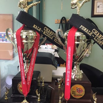 Professional Taekwondo Ctr - Taekwondo Near Me - Hicksville, New York Professional Taekwondo Ctr - Taekwondo Near Me - Hicksville, New York