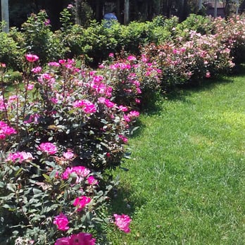 Forest Park - Parks Near Me - Springfield, Massachusetts