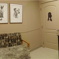 Park Pet Hospital