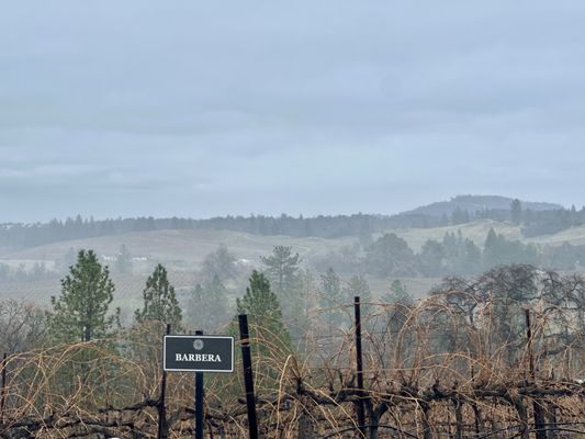 Iron Hub Winery by null