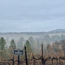 Iron Hub Winery