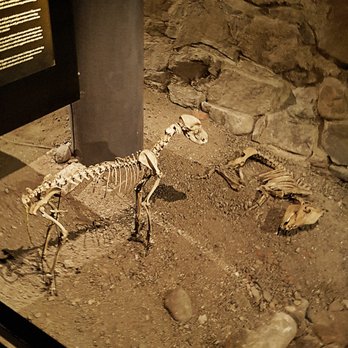 Aboa Vetus & Ars Nova-Museo - Museums Near Me - Turku, 19