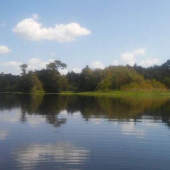 Reed Bingham State Park - Parks Near Me - Adel, Georgia