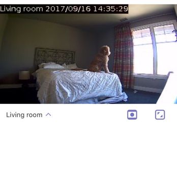 Brinks Home - Home Automation Near Me - Dallas, Texas