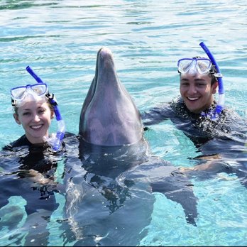 Atlantis Paradise Island - Resorts Near Me - Greenbank, Florida