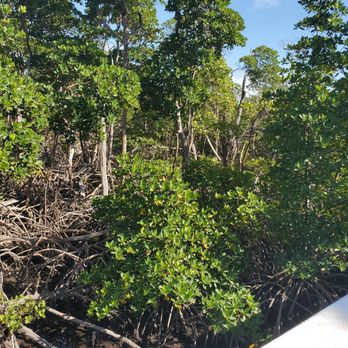 Anne Kolb Nature Center - Parks Near Me - Hollywood, Florida