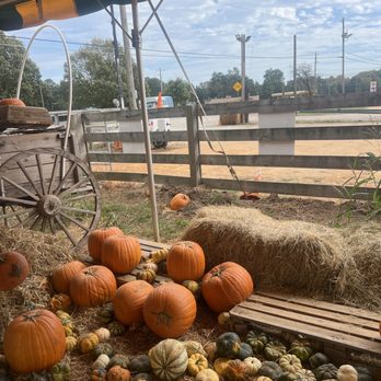 Buford Corn Maze - Attraction Farms Near Me - Buford, Georgia