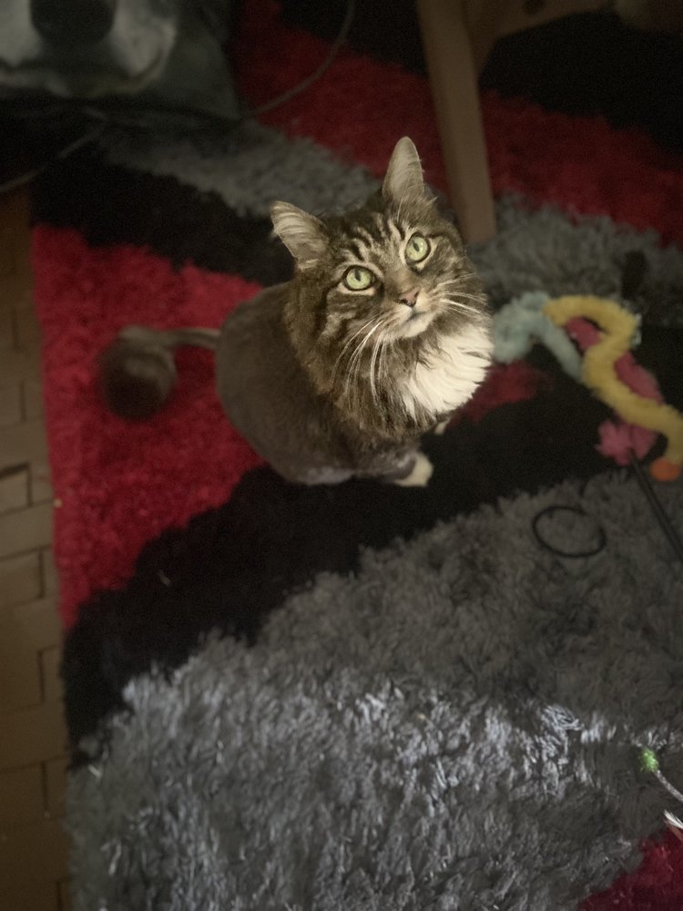 SUDS & SCISSORS Updated September 2024 38 Photos 1709 Whipple Ave