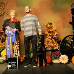 del'Aglio Dobermans - Award winning dog training - training all dog breeds.