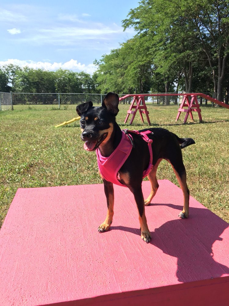MARNE CREEK DOG PARK Updated August 2024 2500 W City Limits Rd, Yankton, South Dakota Dog
