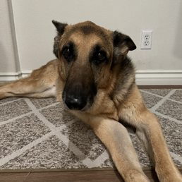 Our Daisy girl