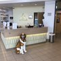 Photo of Clare Eddy Thaw Animal Hospital