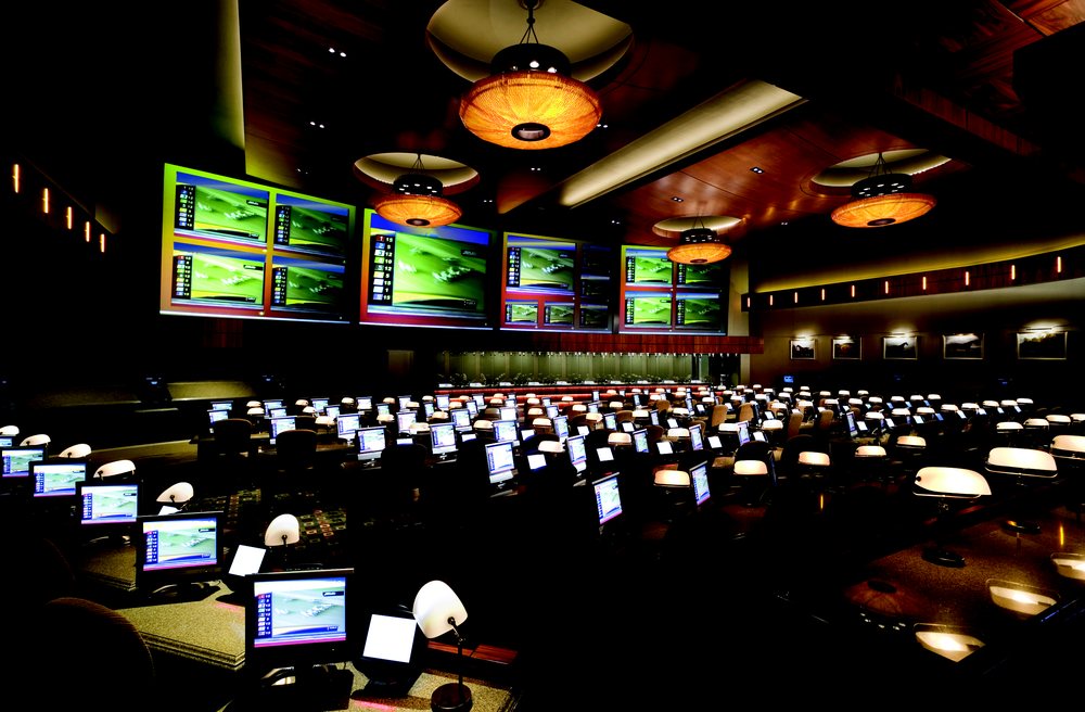 BOOT N’ WHIP TEMP. CLOSED Updated October 2024 1 Way