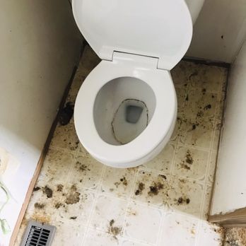 High Priestess Cleaning - Deep Cleaning Toilet - Office Cleaning Near Me High Priestess Cleaning - Deep Cleaning Toilet - Office Cleaning Near Me