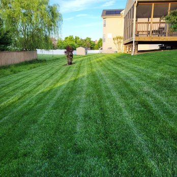 White Oak Landscaping - a green lawn with a house in the background - Landscaping Near Me - Strasburg, Pennsylvania White Oak Landscaping - a green lawn with a house in the background - Landscaping Near Me - Strasburg, Pennsylvania