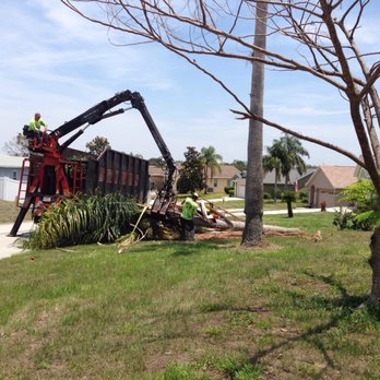 Briggs Tree Service - Tree Services Near Me - Davenport, Florida Briggs Tree Service - Tree Services Near Me - Davenport, Florida