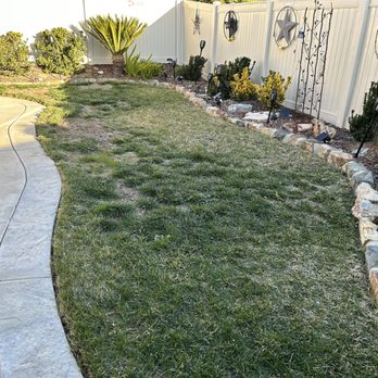 Purchase Green Artificial Grass - Backyard - Artificial Turf Near Me - Murrieta, California