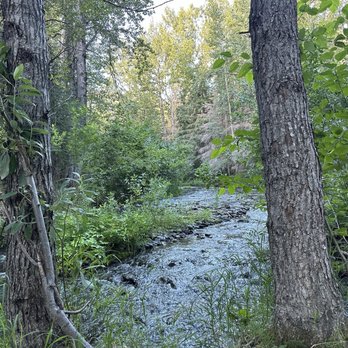South Cooper Creek Campground - Amazing access to cooper creek! Such a peaceful way to start or end your day. - Campgrounds Near Me South Cooper Creek Campground - Amazing access to cooper creek! Such a peaceful way to start or end your day. - Campgrounds Near Me