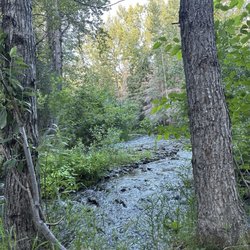 South Cooper Creek Campground - Amazing access to cooper creek! Such a peaceful way to start or end your day.