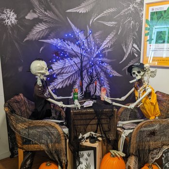 Torrey Holistics - Fall display - Cannabis Dispensaries Near Me - San Diego, California Torrey Holistics - Fall display - Cannabis Dispensaries Near Me - San Diego, California