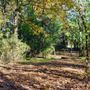 Photo of Bevier Park