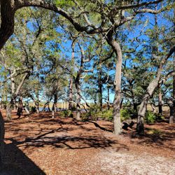 Ochlockonee River State Park