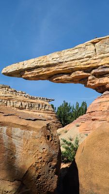 Radiator Springs Racers by null