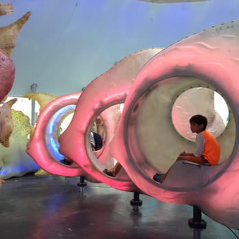 SeaGlass Carousel - The carousel of the future! So cool. - Carousels Near Me - New York, New York SeaGlass Carousel - The carousel of the future! So cool. - Carousels Near Me - New York, New York