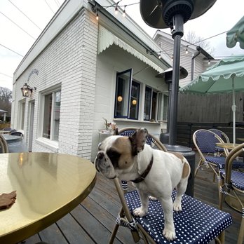 Sessions Stand - My frenchie pining for that fresh baked doggy cookie. Peanut butter and oats. Yum!!! - Patisserie/Cake Shop Near Me - Marietta, Georgia Sessions Stand - My frenchie pining for that fresh baked doggy cookie. Peanut butter and oats. Yum!!! - Patisserie/Cake Shop Near Me - Marietta, Georgia