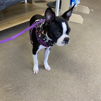 Pawsnickety Pets - Lexi's scavenger hunt photo - Pet Stores Near Me - Norfolk, Virginia Pawsnickety Pets - Lexi's scavenger hunt photo - Pet Stores Near Me - Norfolk, Virginia