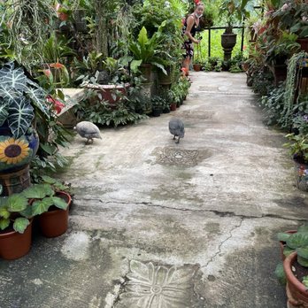 Vallarta Botanical Gardens - Botanical Gardens Near Me - Cabo Corrientes, JAL Vallarta Botanical Gardens - Botanical Gardens Near Me - Cabo Corrientes, JAL