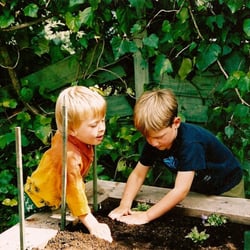 Morning Song School - Planting in Gardens
