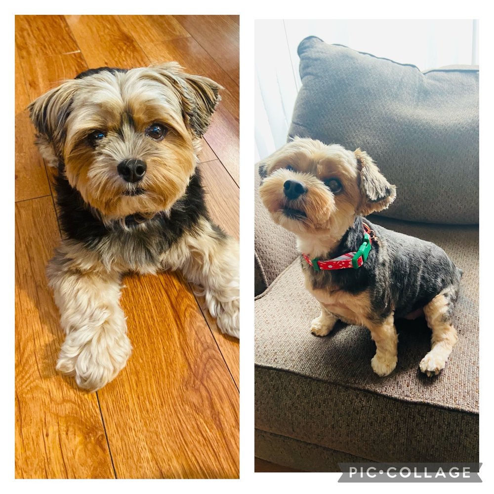 PETCO 105 Photos & 117 Reviews 5650 Cottle Rd, San Jose, California