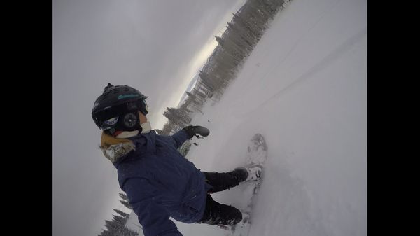 Steamboat Powdercats by null