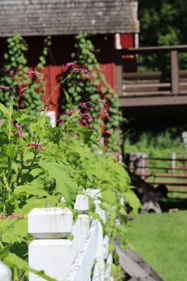 Seed Savers Exchange by null