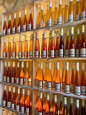 Savannah Bee Company by null