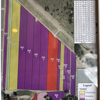 Zotovich Vineyards and Winery - Zotovich's estate vineyard map. The vineyard is located not far from the tasting room along Hwy 246. - Wineries Near Me - Lompoc, California Zotovich Vineyards and Winery - Zotovich's estate vineyard map. The vineyard is located not far from the tasting room along Hwy 246. - Wineries Near Me - Lompoc, California