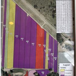Zotovich Vineyards and Winery - Zotovich's estate vineyard map. The vineyard is located not far from the tasting room along Hwy 246.